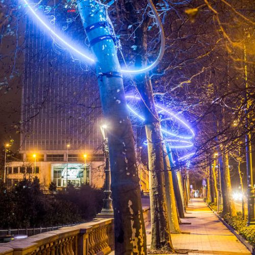 Bright bomen versierd met lichtcirkels