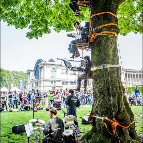 Milieufestival muzikanten aan een boom
