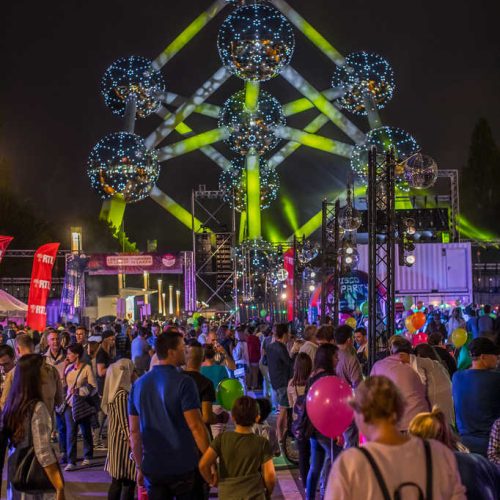 Les feux de Laeken rassemblement du public