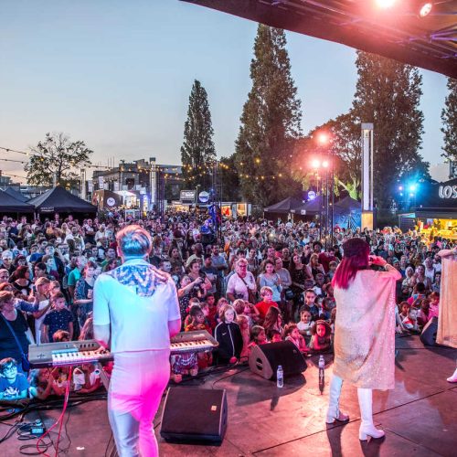 Les feux de Laeken concert