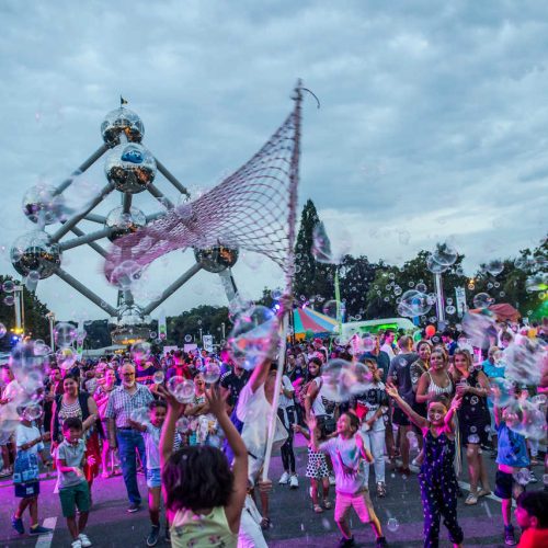 Les feux de Laeken public gathering