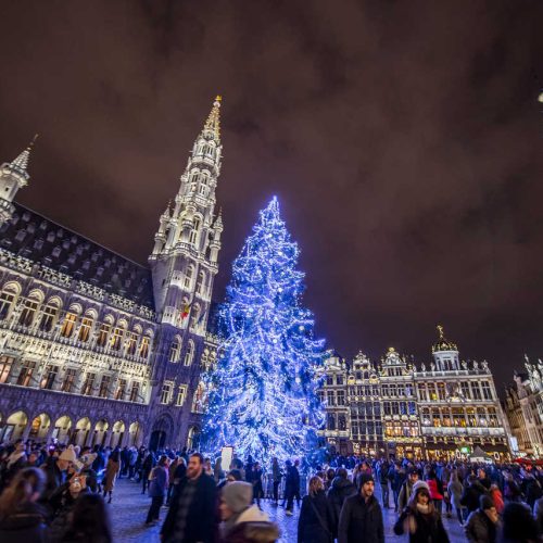 Plaisirs d'hiver sapin de noêl grande place