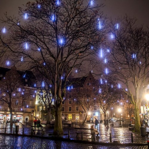 Brussels by light décorations lumineuses sur un arbre