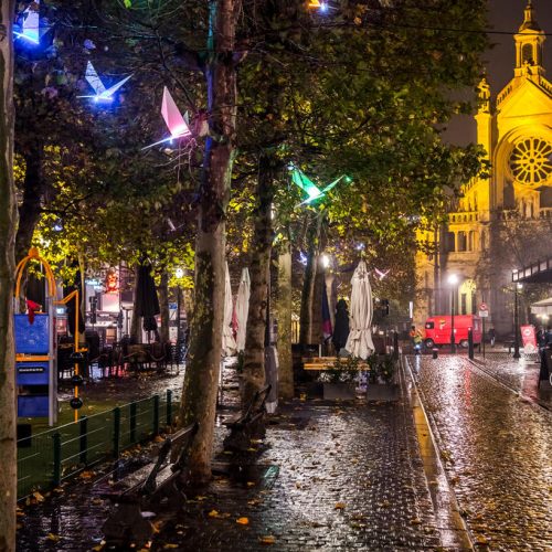 Brussels by light oiseaux lumineux sur un arbre