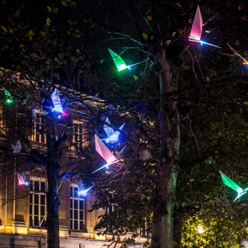 Brussels by light oiseaux lumineux sur un arbre