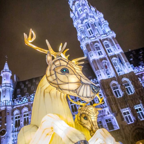 Plaisirs d'hiver cerfs géants et lumineux