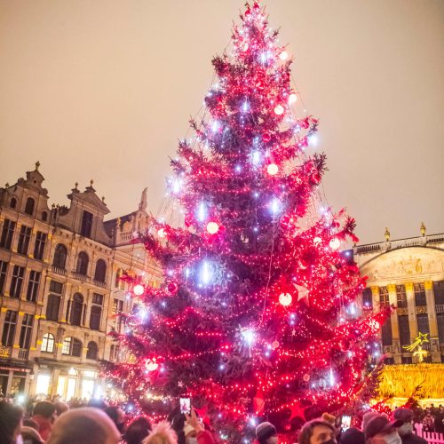 plaisirs d'hivers sapin de noel 2021